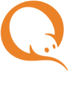 Invalid image